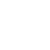 google-white-icon
